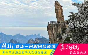黄山精华一日游线路-「精品旅游团、当地参团必玩」